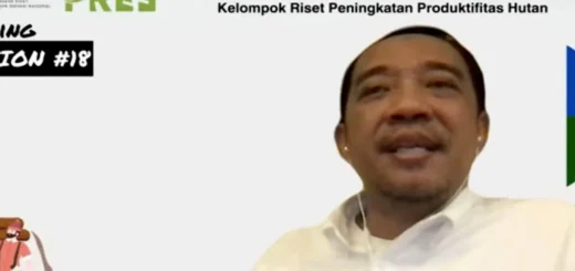 KLHK Sebut Pentingnya Implementasi RIL-C untuk Mengurangi Emisi