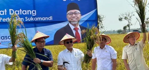 Menko Ungkap Kunci Mencapai Swasembada Pangan di Tahun 2028