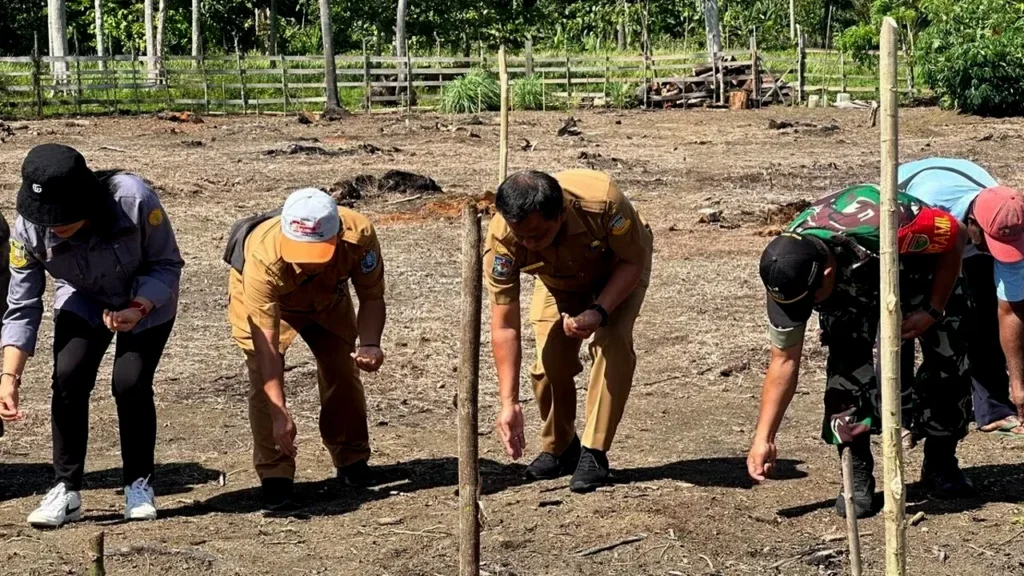WWF Indonesia dan Masyarakat Adat Sereh Bekerja Sama Menjaga Pangan Lokal