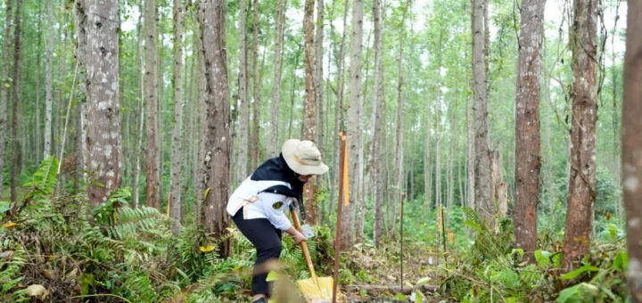 OIKN Gelar Penanaman 600 Bibit Pohon di Miniatur Hutan Hujan Tropis Nusantara